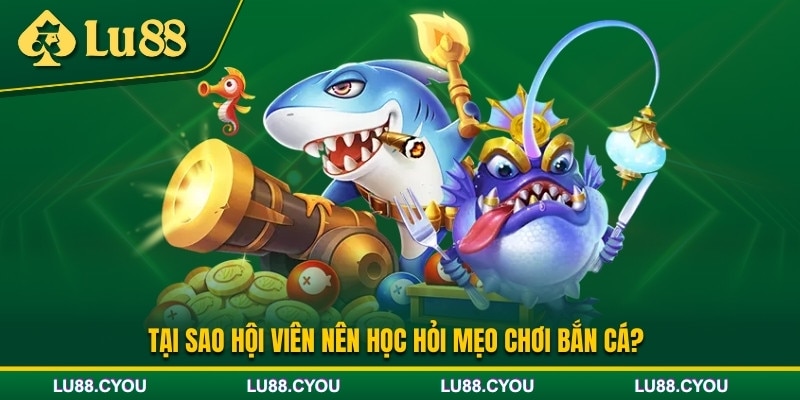 Lý do nên học hỏi mẹo chơi bắn cá?
